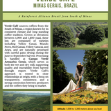 Brazil Dark